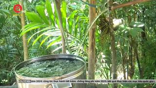 Báo động tình trạng thiếu nước sạch ở vùng cao Quảng Nam