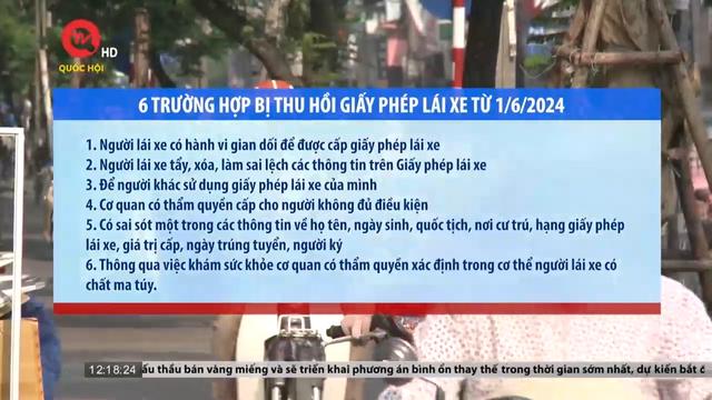 6-truong-hop-bi-thu-hoi-giay-phep-lai-xe-tu-1-6-223897.htm