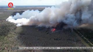 Cháy lớn ở vườn quốc gia Tràm Chim 