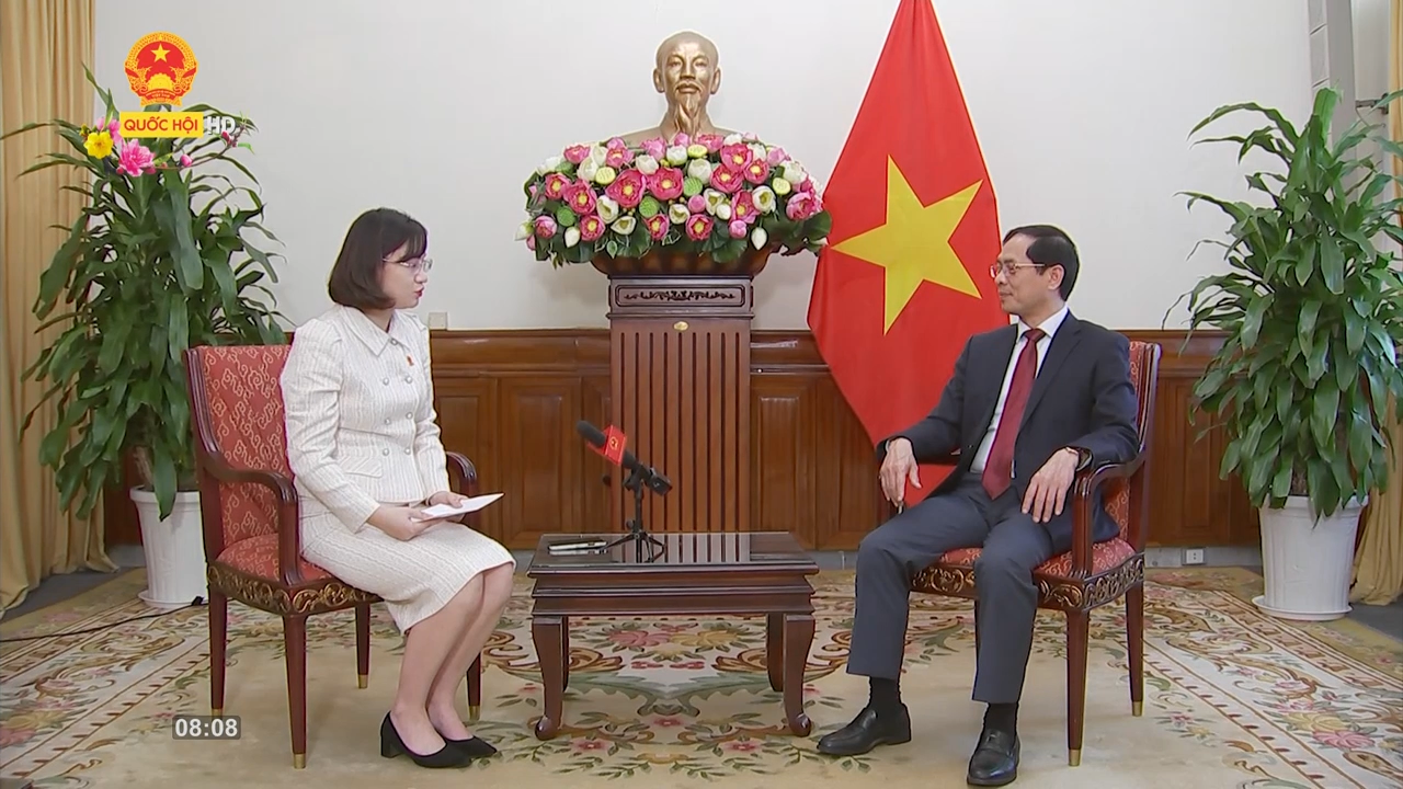 Bộ trưởng Bùi Thanh Sơn nêu 4 ưu tiên của Ngoại giao Việt Nam 2022