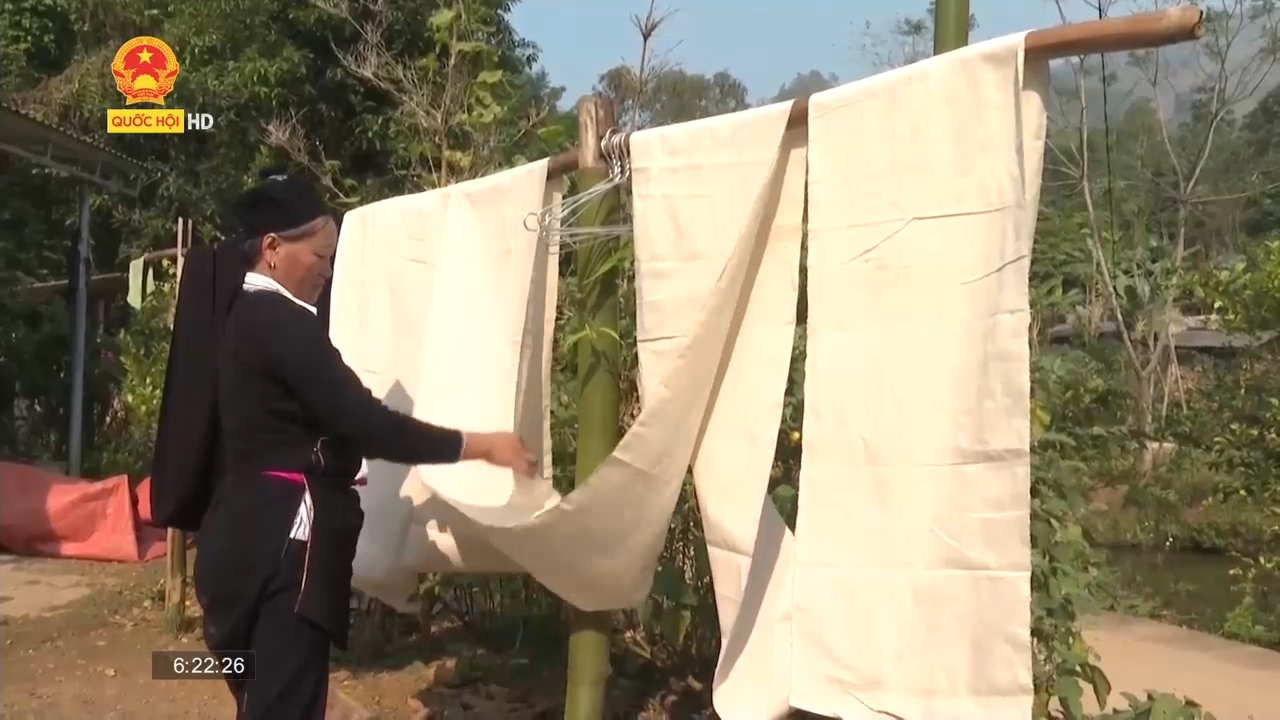 Lào Cai: Nghề trồng bông dệt vải của người Dao Tuyển
