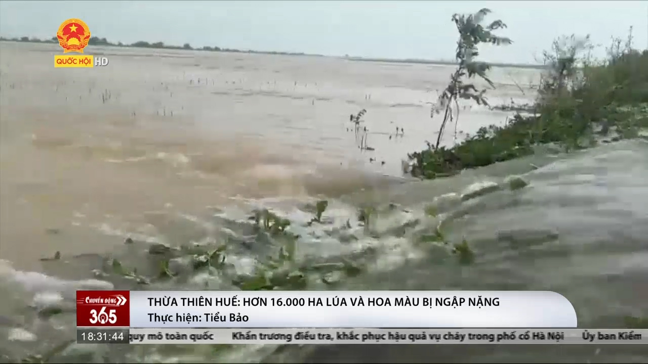 Thừa Thiên - Huế: Mưa lớn kéo dài khiến hơn 16.000 ha lúa và hoa màu bị ngập nặng