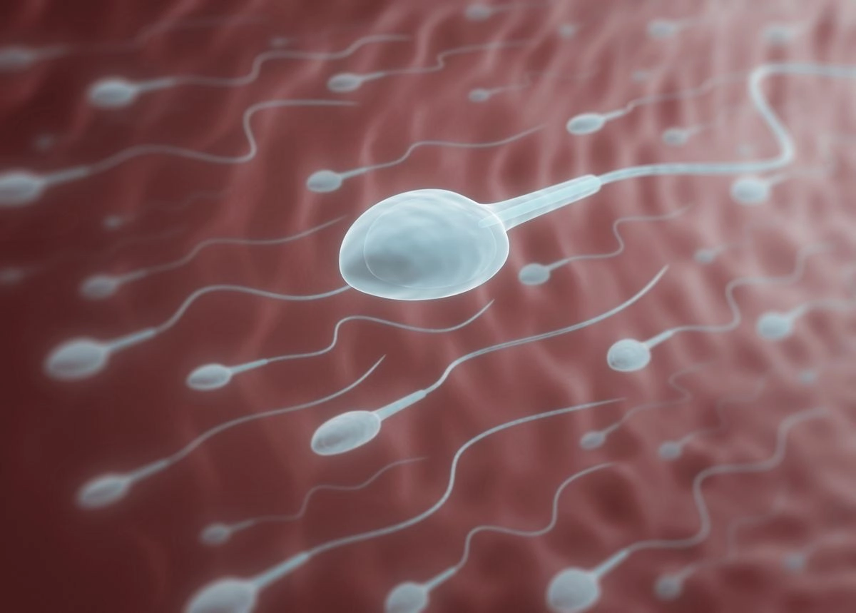 Lượng tinh trùng của con người đang giảm, cảnh báo khủng hoảng sinh sản