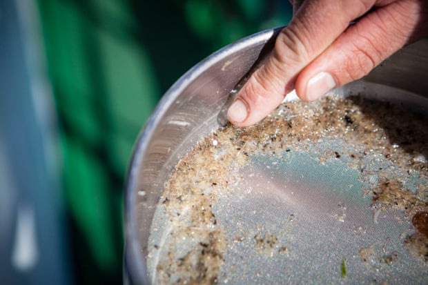 6/6 mẫu muối gia vị ở Hà Nội được khảo sát đều nhiễm vi nhựa