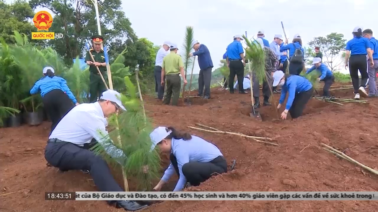 Đắk Nông: Phát động đợt trồng cây lớn nhất năm "Vì Đắk Nông xanh"