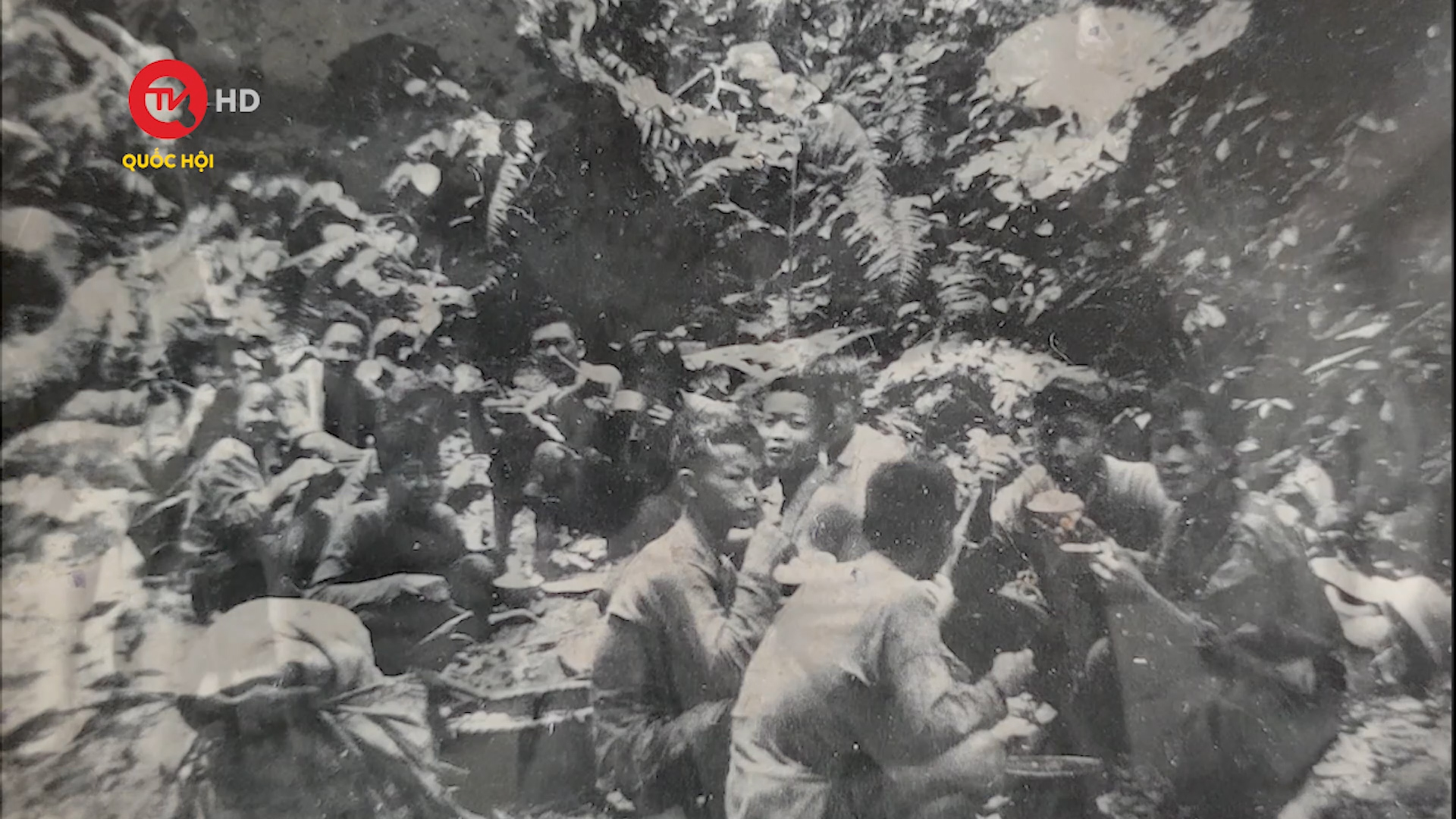 Ký ức của chiến sĩ Việt Nam về chiến dịch Thập Vạn Đại Sơn ở Trung Quốc