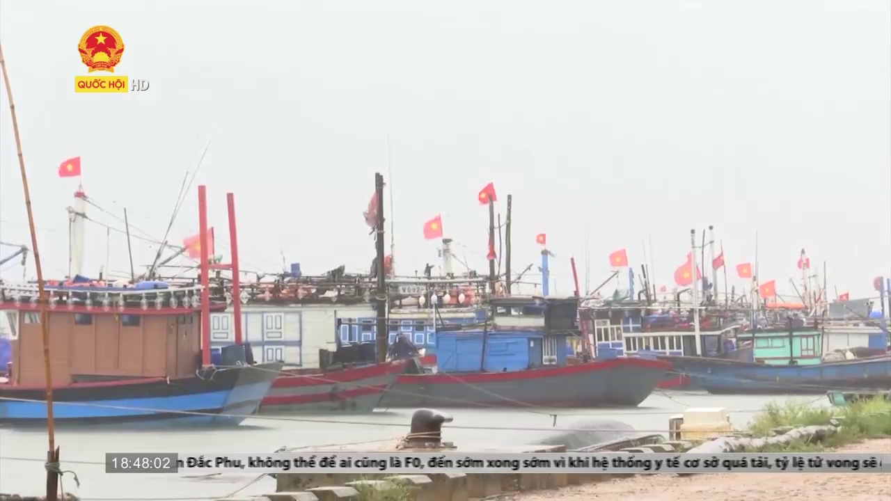 Quảng Trị: Ngư dân khốn đốn vì tàu cá nằm bờ