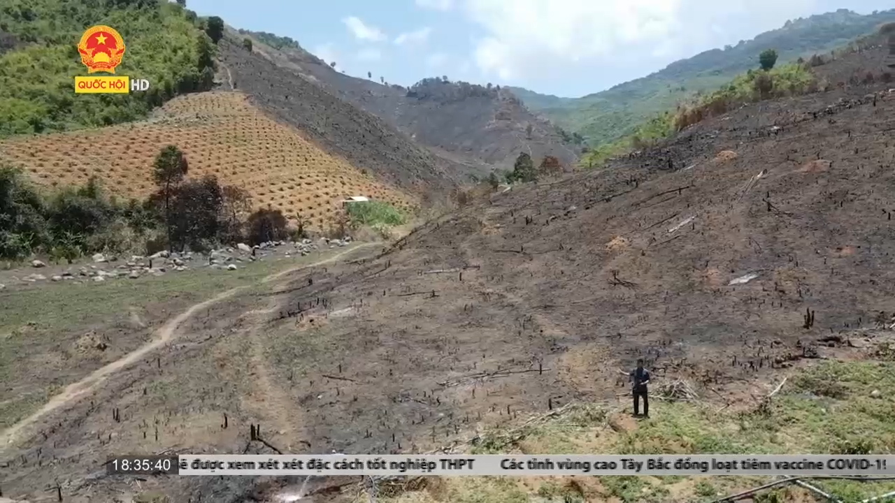 Đắk Lắk phát hiện thêm 2 vụ phá rừng với tổng thiệt hại hơn 70ha