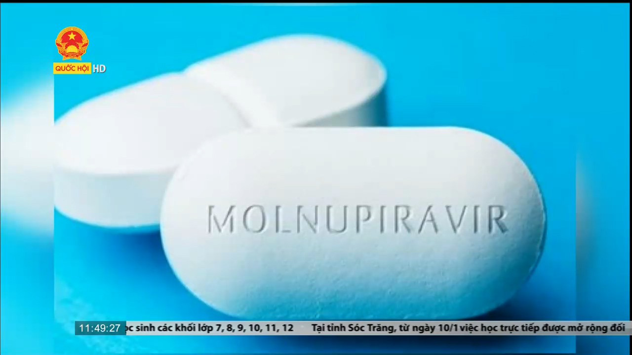 Bộ Y tế xem xét cấp phép sản xuất thuốc Molnupiravir