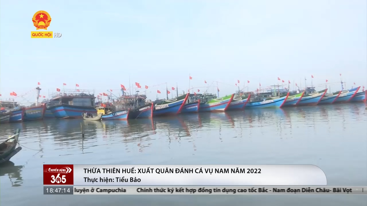 Thừa Thiên - Huế: 40 tàu xuất quân đánh cá vụ Nam