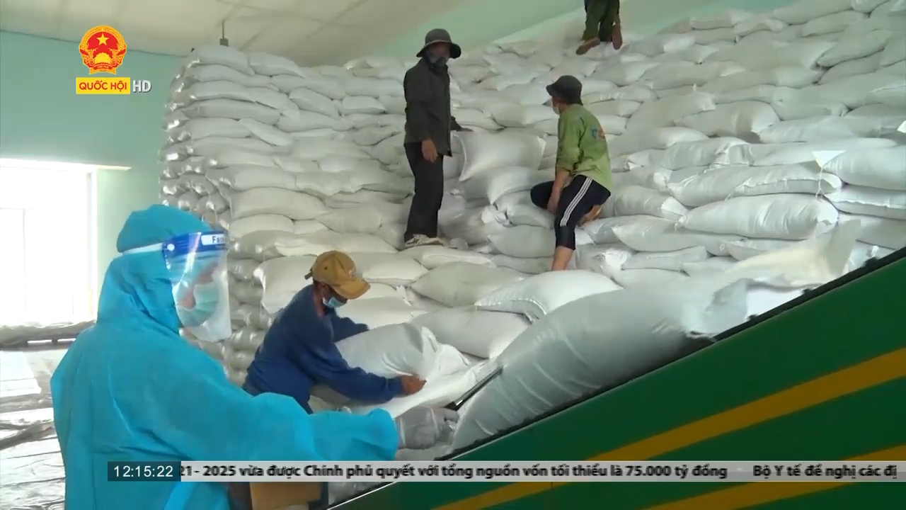 Chính phủ lệnh xuất, cấp không thu tiền gần 8 nghìn tấn gạo hỗ trợ 10 tỉnh