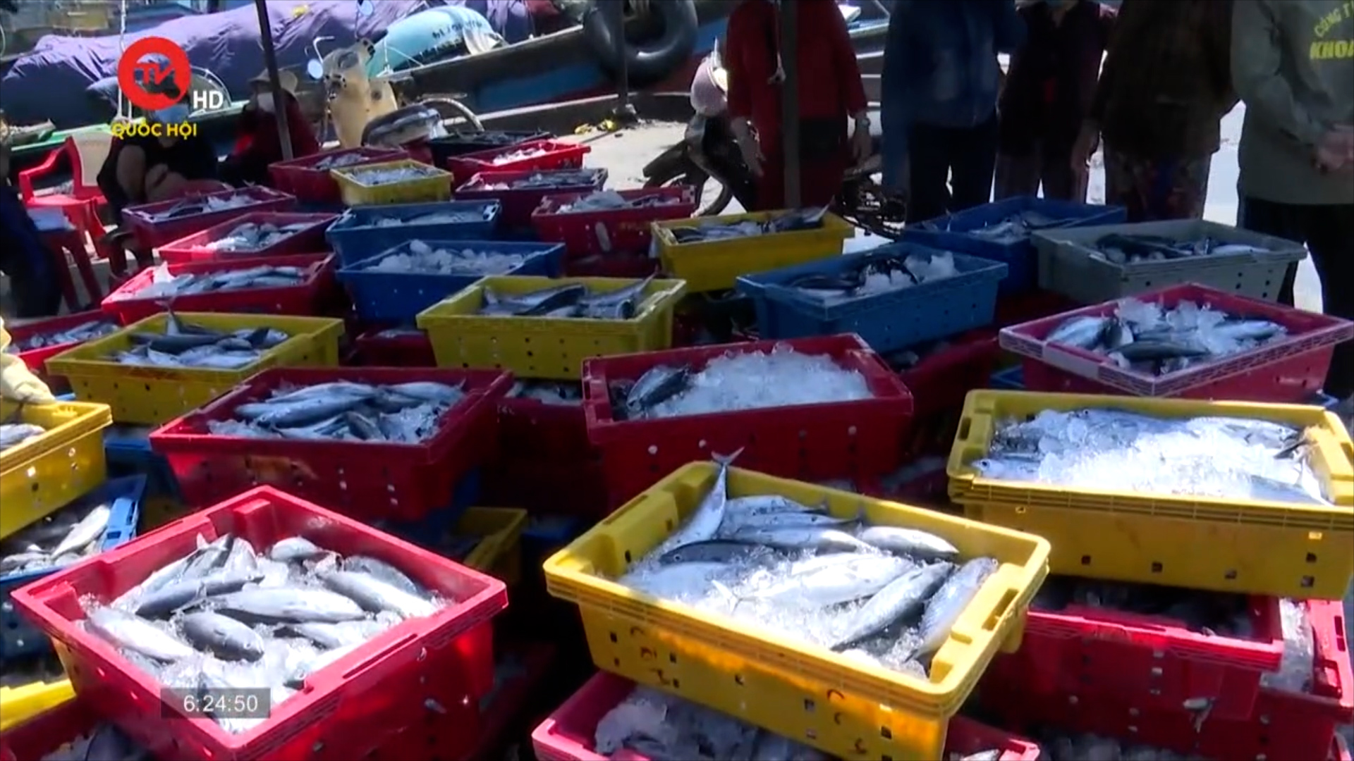 Xuất khẩu cá ngừ trên đường lập đỉnh 1 tỷ USD