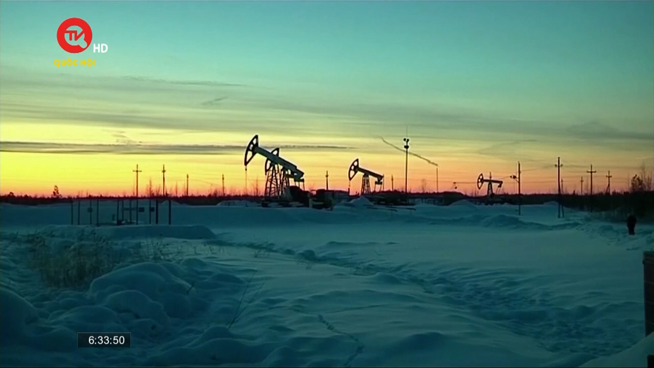 Nga sẽ cắt giảm sản lượng dầu 500.000 thùng/ngày
