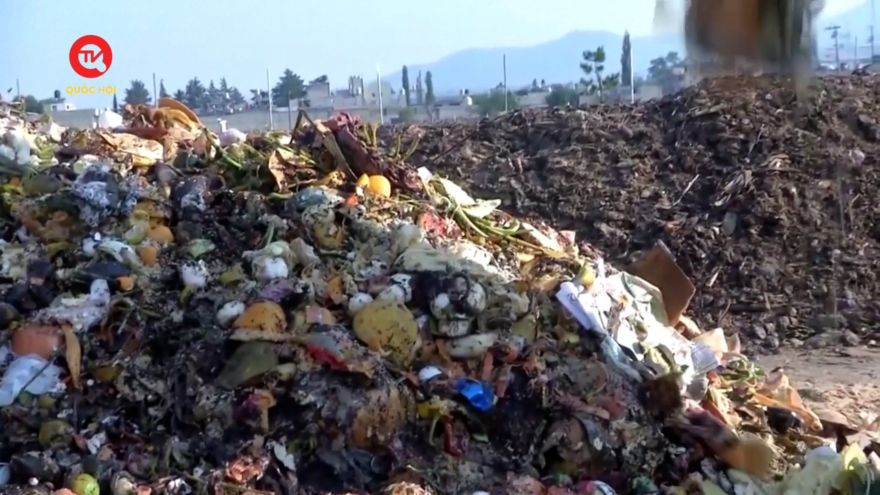 Nhìn ra thế giới: Hành trình tái sinh của rác hữu cơ
