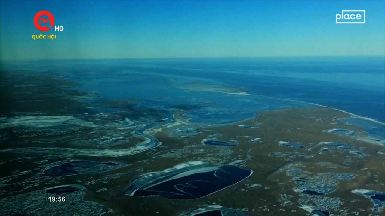 Nhìn ra thế giới: Cuộc chiến giữa dầu khí và môi trường ở Alaska
