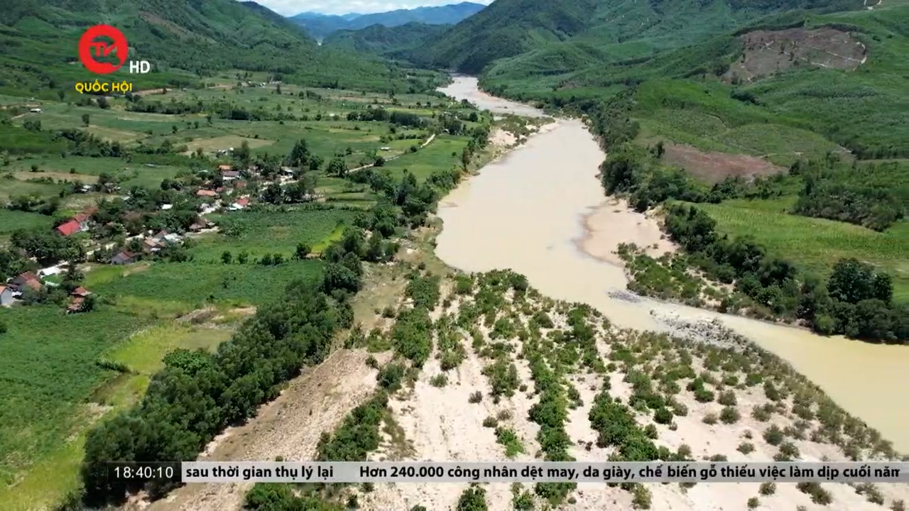 Phú Yên: Nghịch lý trồng rừng làm gia tăng lũ lụt