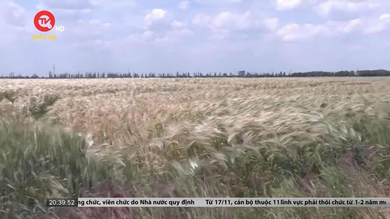 Liên hợp quốc kêu gọi gia hạn thỏa thuận xuất khẩu lương thực của Nga và Ukraine