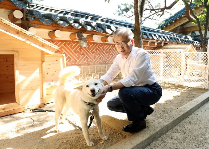 Lý do cựu Tổng thống Hàn Quốc muốn trả lại cặp chó là quà tặng của ông Kim Jong Un