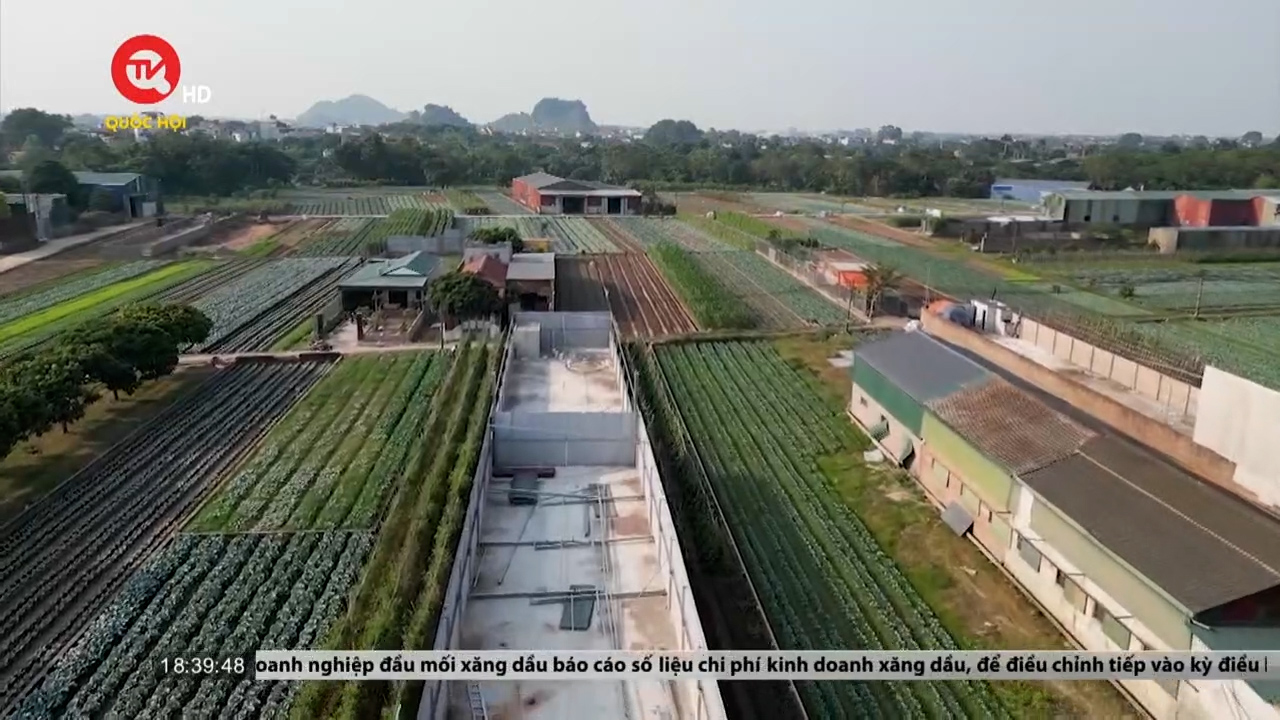 Hà Nội: Nhức nhối đất nông nghiệp nhưng dùng để ở