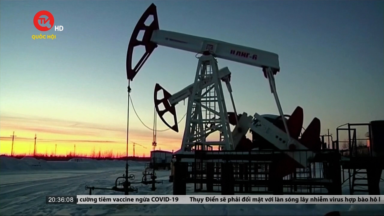 EU áp dụng biện pháp kép đối với dầu Nga: Cấm nhập khẩu và áp giá trần