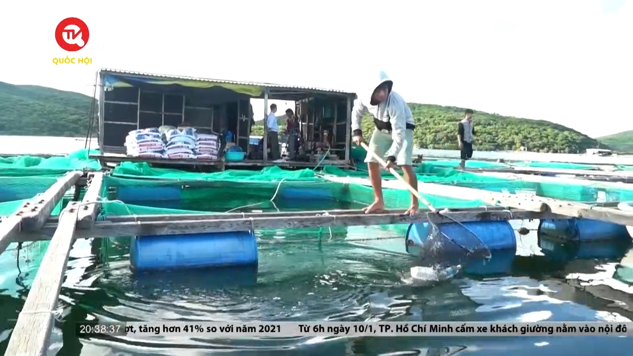 Vấn nạn rác thải từ hoạt động nuôi lồng bè trên biển ở Khánh Hòa