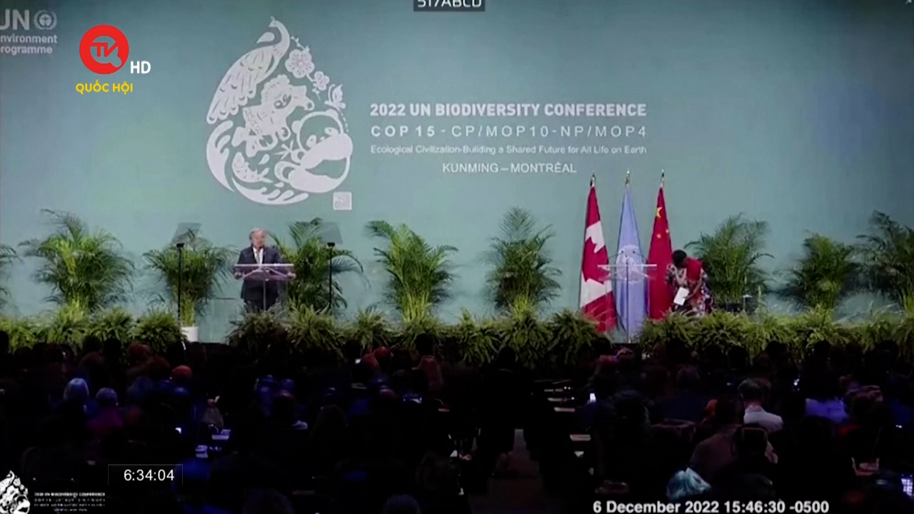 Hội nghị đa dạng sinh học Liên hợp quốc - COP15: Đã đến lúc phải thiết lập một hiệp ước hòa bình với thiên nhiên