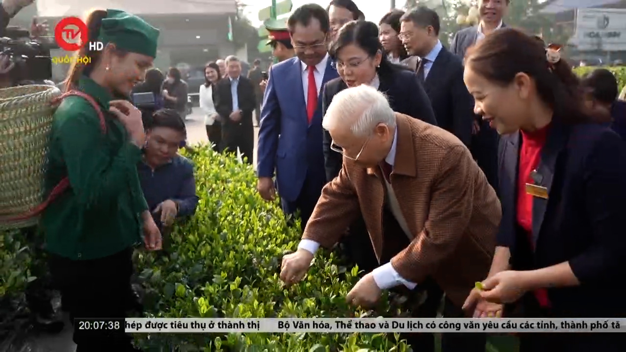 Tổng Bí thư Nguyễn Phú Trọng thăm Hợp tác xã chè Hảo Đạt, Thái Nguyên