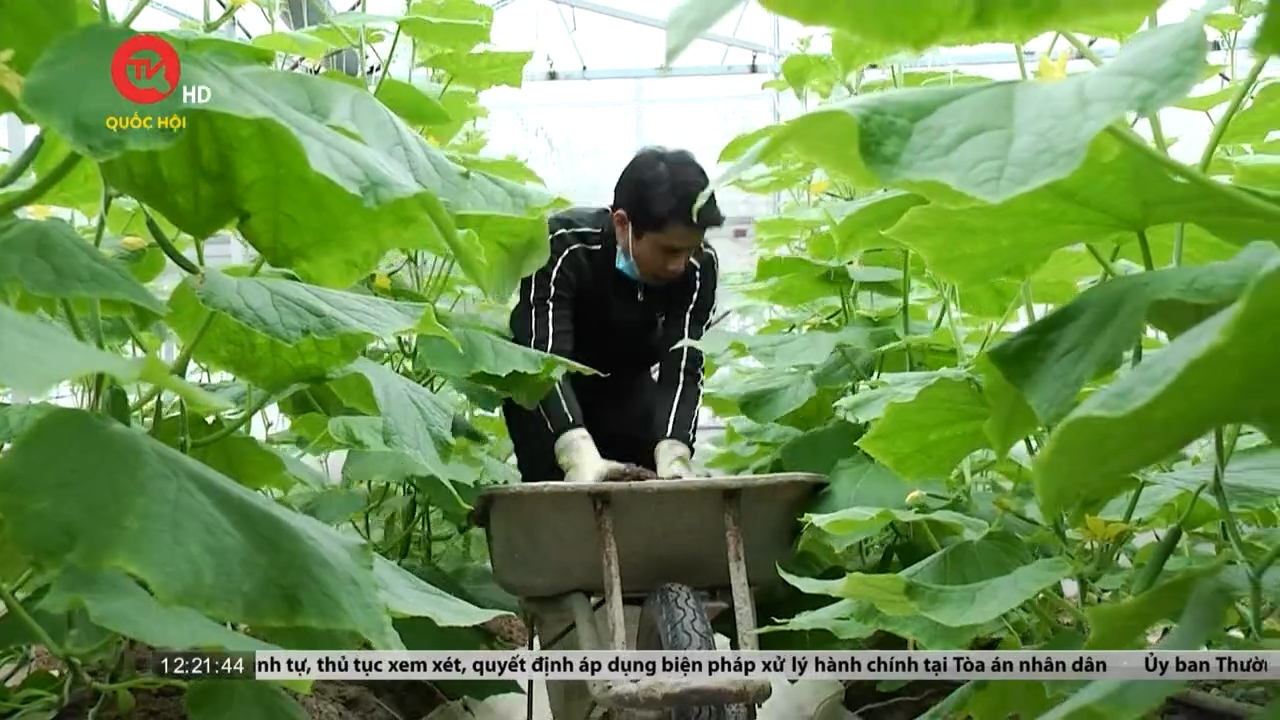 Giải pháp gì để phát triển nông nghiệp hữu cơ, giảm phát thải khí nhà kính trong trồng trọt tại Việt Nam?
