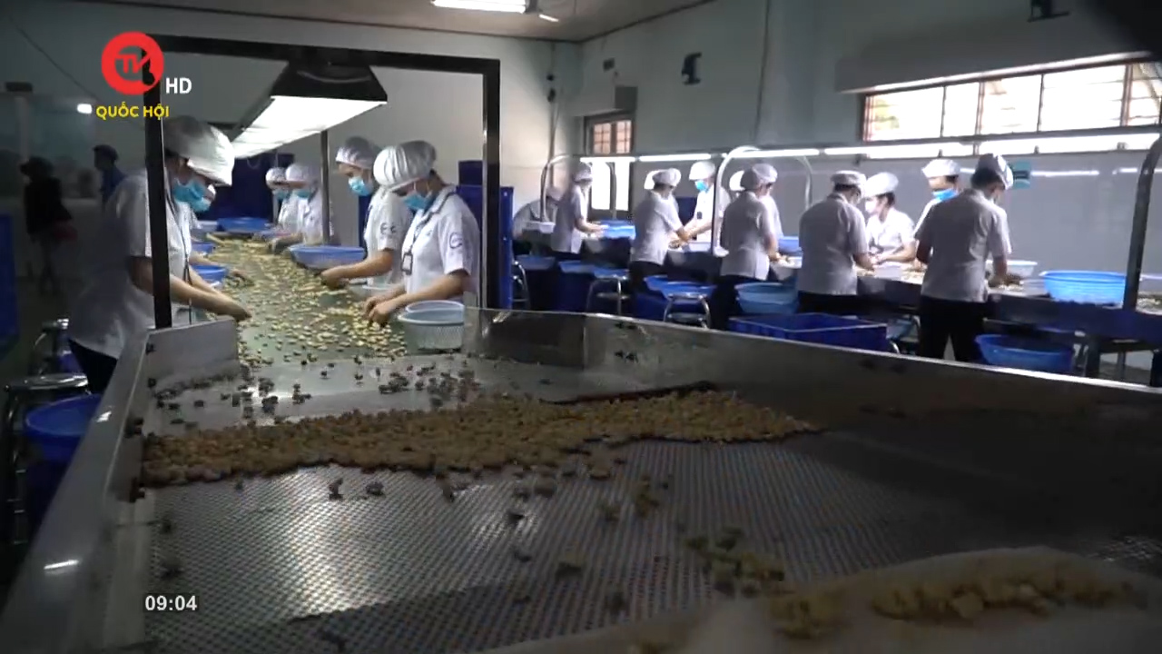 Nông nghiệp Việt Nam: 2022 - Một năm nhiều điểm sáng xuất khẩu nông nghiệp
