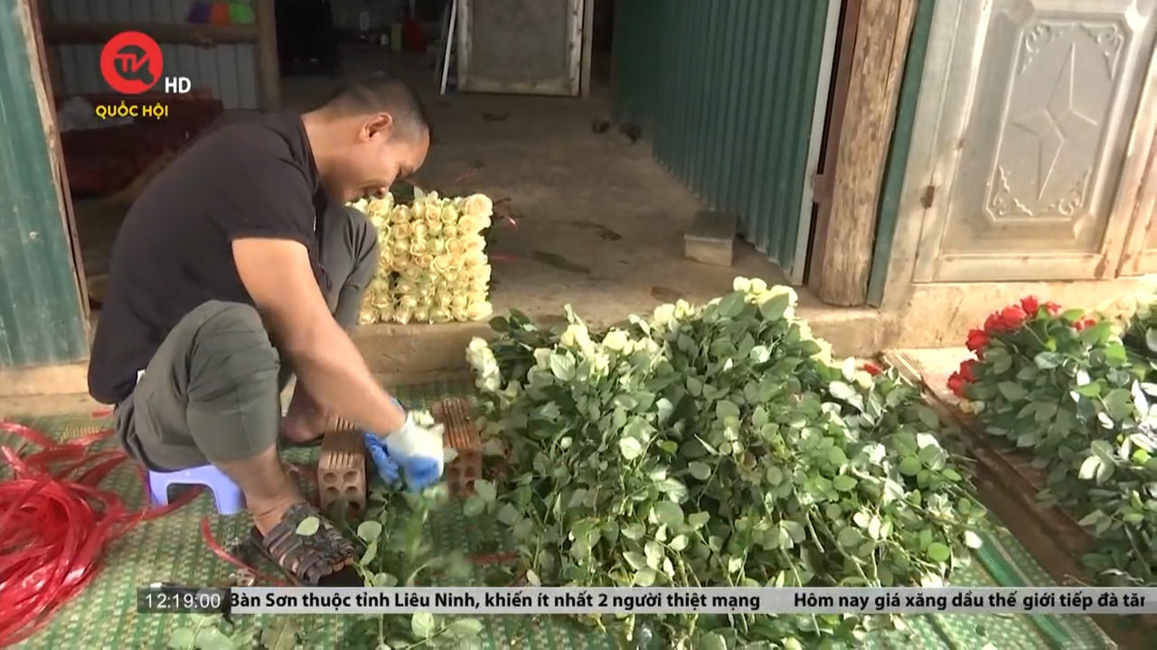 Lâm Đồng: Hỗ trợ giống cây trồng cho người dân vùng khó khăn