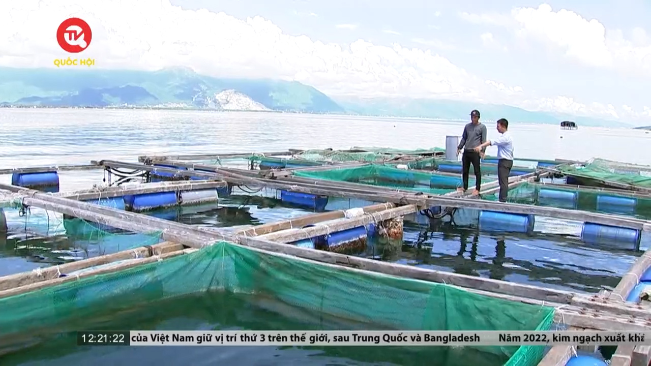 Khánh Hòa: Làng triệu phú nhờ nuôi biển