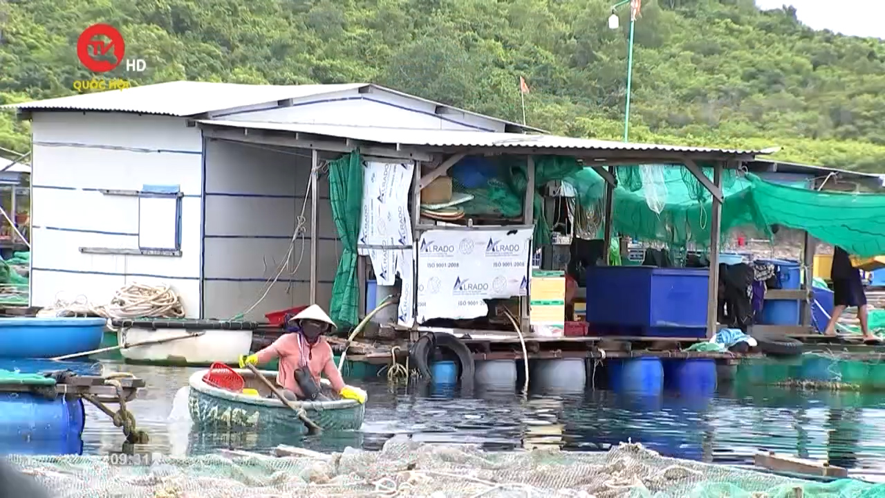 Khánh Hòa: Phát triển nền kinh tế biển, nuôi trồng thủy sản trên mặt nước biển gắn với sinh kế người dân