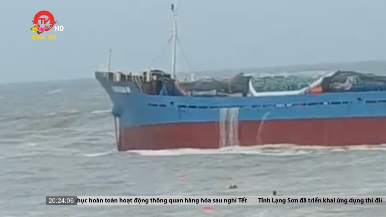 Quảng Ngãi: 11 thuyền viên tàu hàng được cứu nạn trên biển ngày mùng 5 Tết