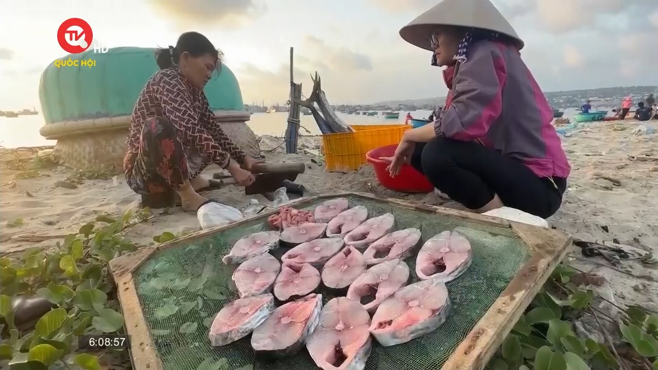 Nghề câu cá thu kiếm bạc triệu của ngư dân Mũi Né