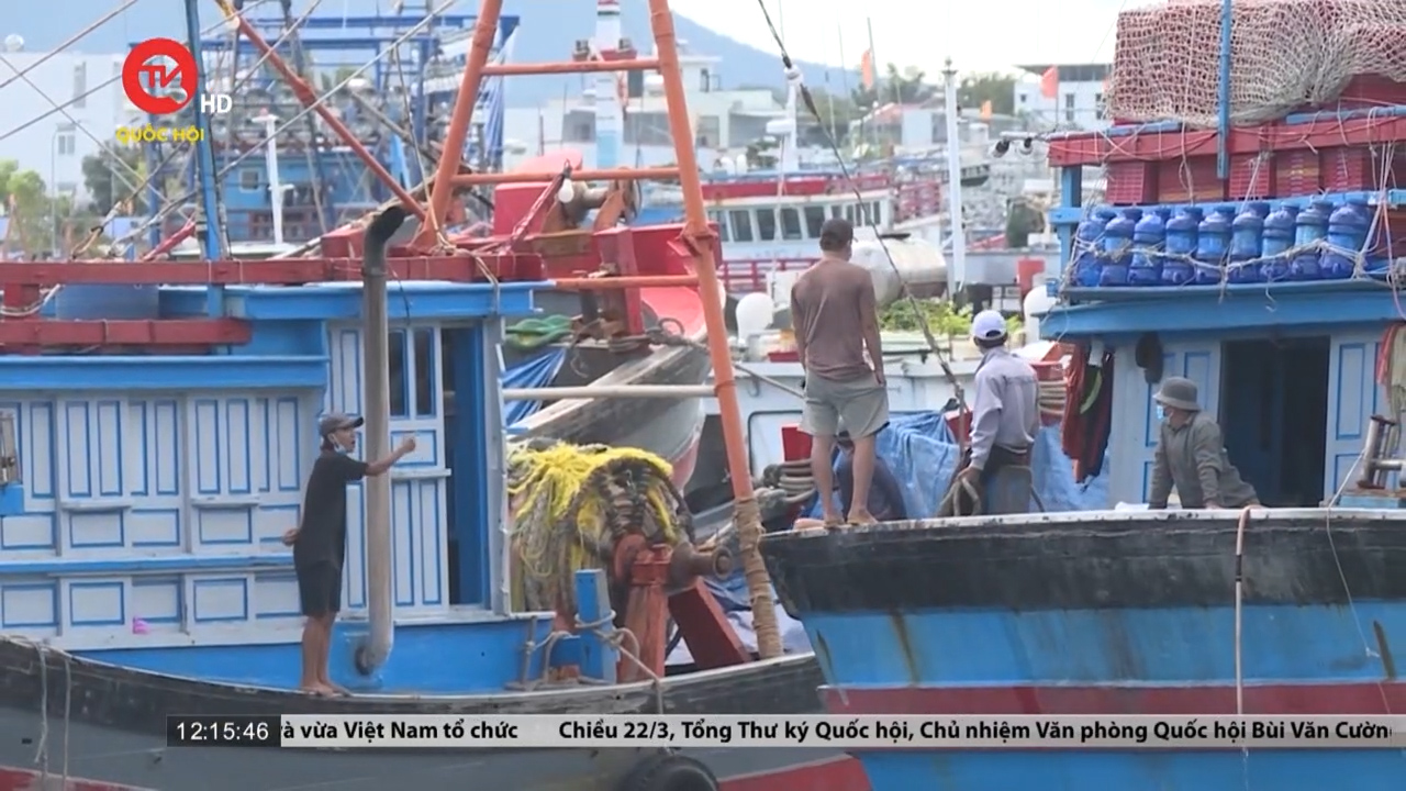 "Khan" bạn thuyền, nhiều tàu cá ở Khánh Hòa buộc phải nằm bờ