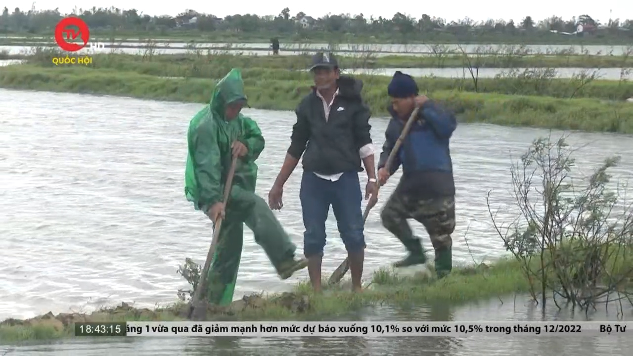 Thừa thiên Huế: Hơn 4.500 hecta lúa ngập úng do mưa lớn