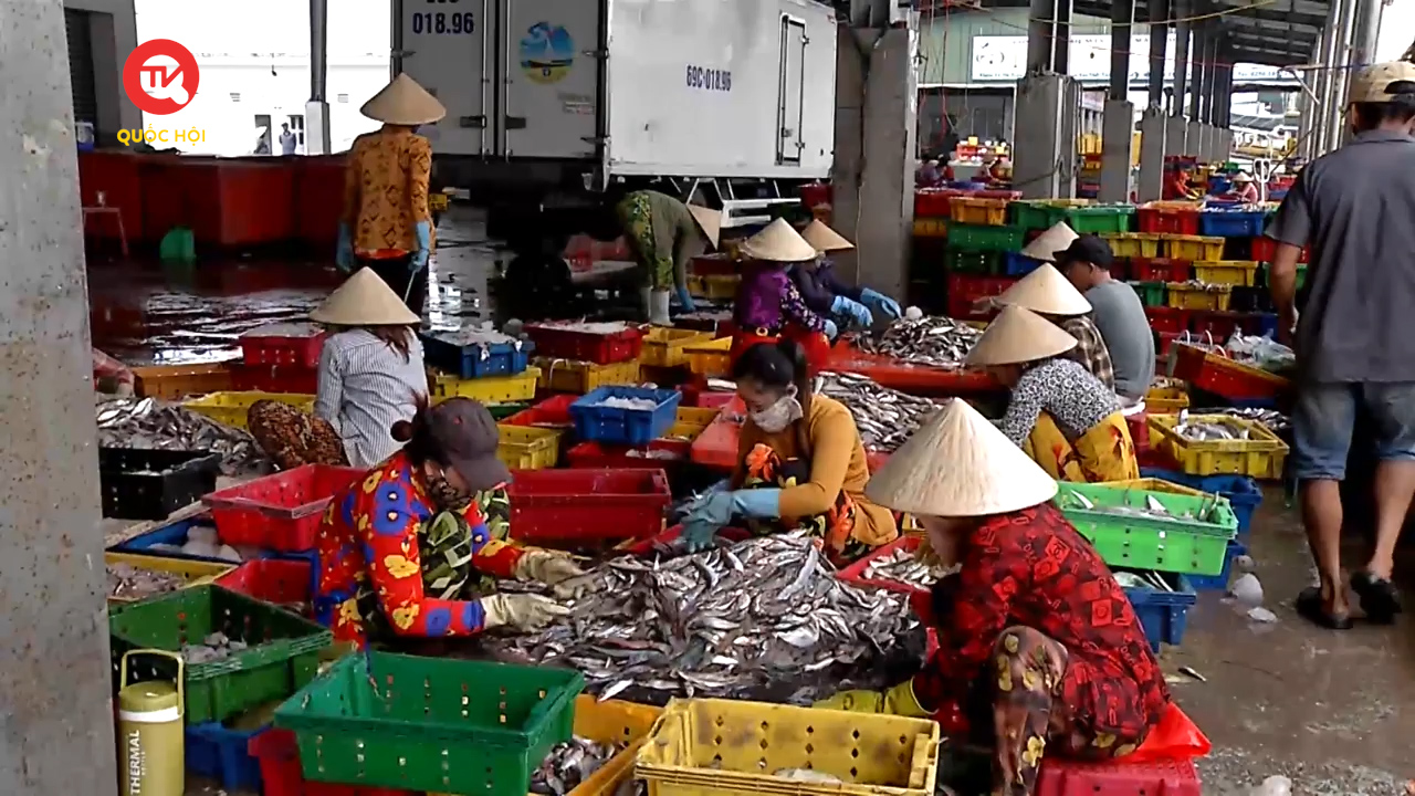 Nông nghiệp Việt Nam: Phát triển bền vững ngành thủy sản: Giảm đánh bắt, tăng nuôi trồng