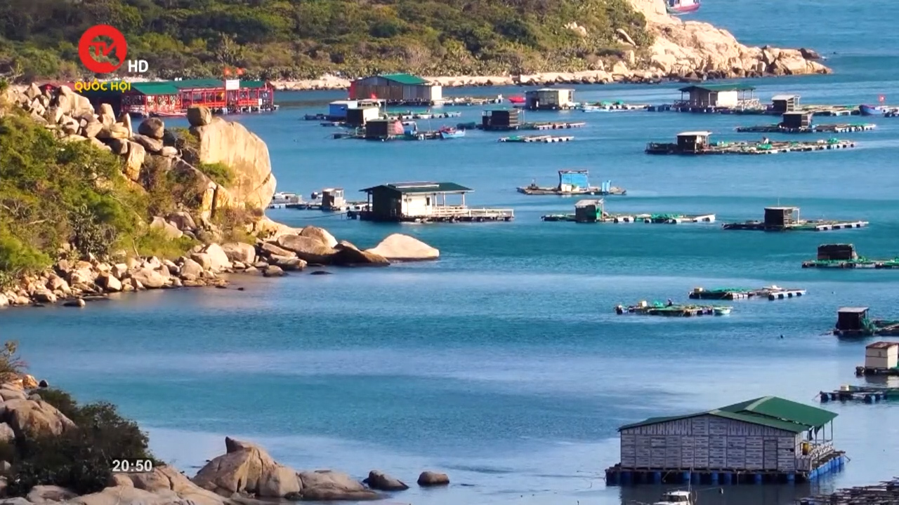 Biên giới biển đảo quê hương: Thúc đẩy phát triển thủy sản bền vững