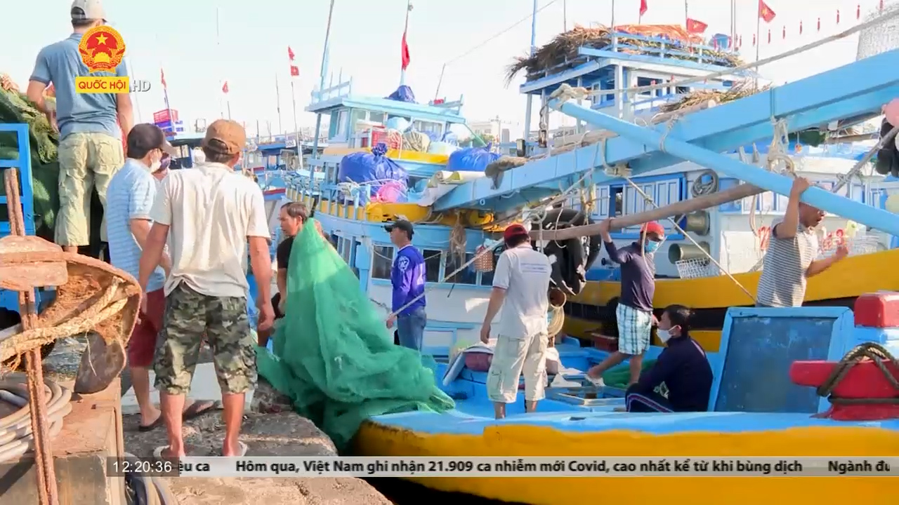 Bình Thuận: Ngư dân hăng hái vươn khơi sau Tết