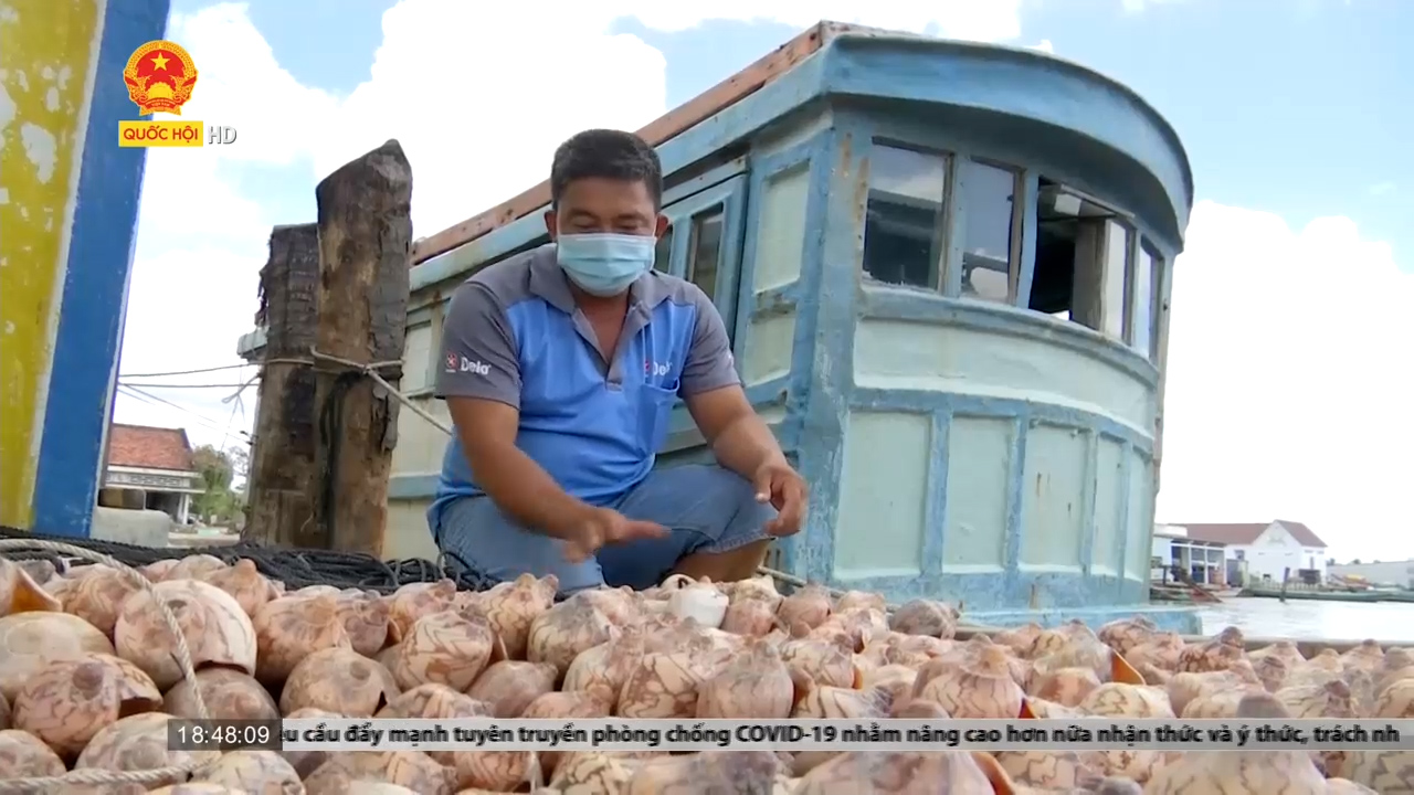 Cà Mau: Ngư dân sạt nghiệp vì nạn trộm cắp ngư cụ