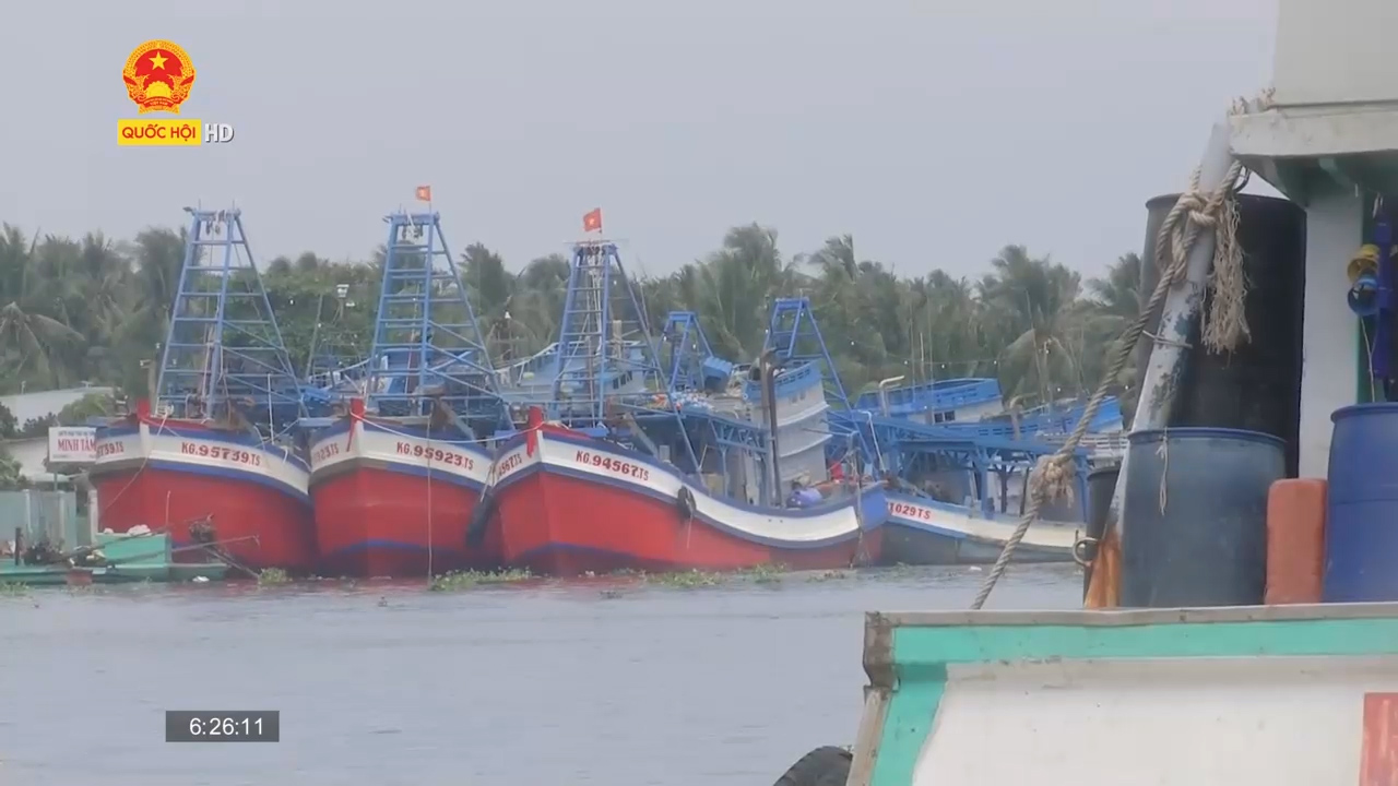 Kiên Giang: Nhiều tàu cá nằm bờ vì giá dầu tăng cao