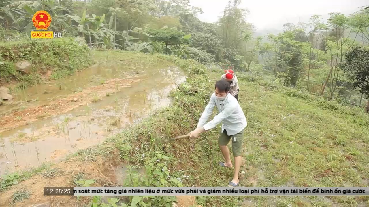 Lào Cai: Giá phân bón tăng vọt, nguy cơ giảm năng suất và để đất hoang hóa