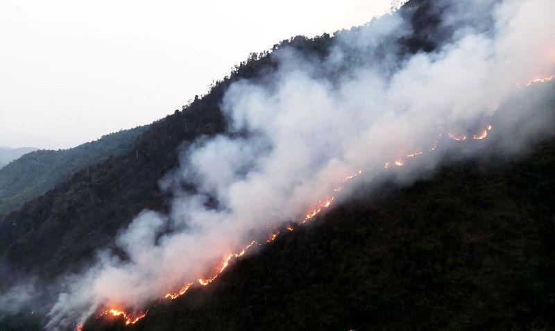 Hà Giang huy động hơn 200 người chữa cháy rừng