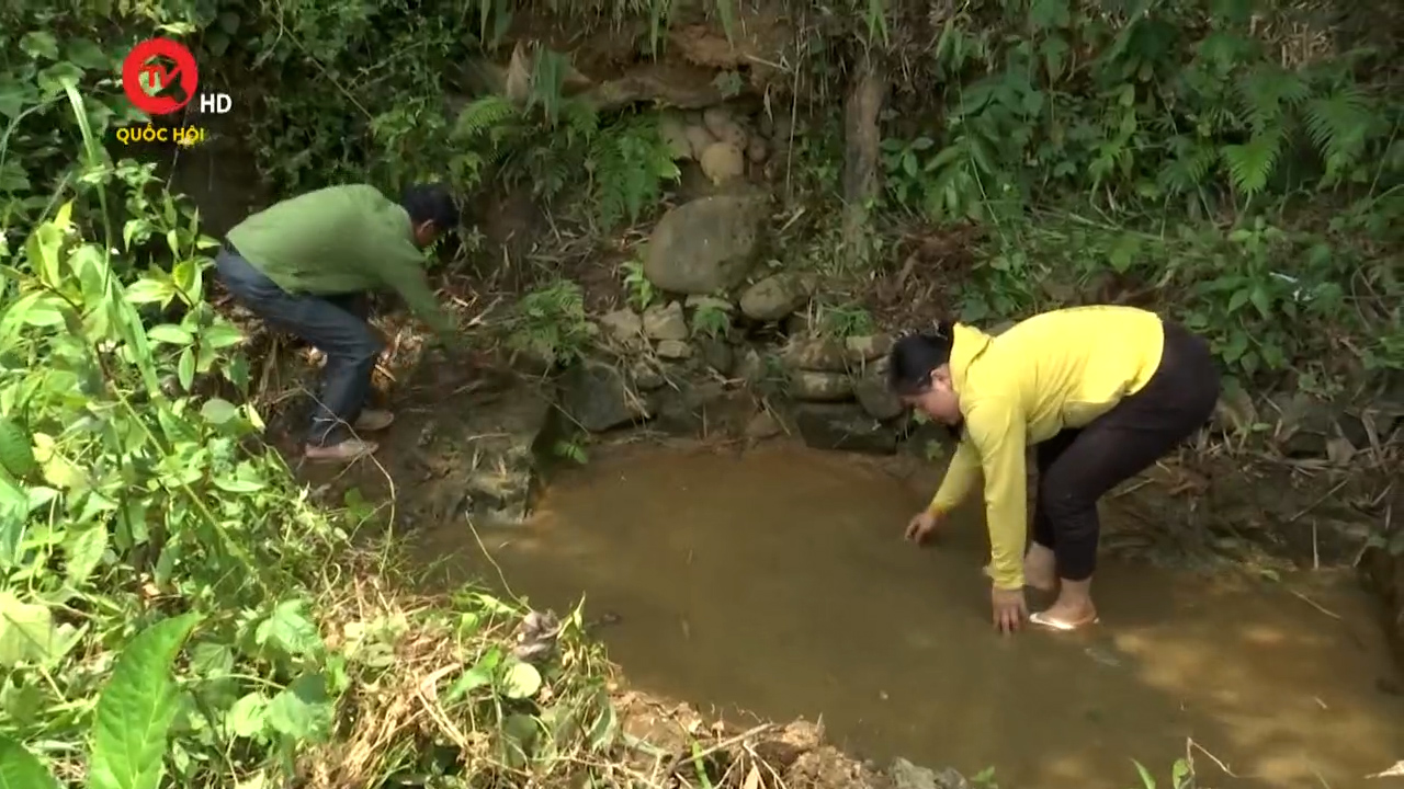 Bình Thuận: Dở khóc dở cười chuyện hàng chục hộ dân xếp hàng chờ lấy nước từ rừng