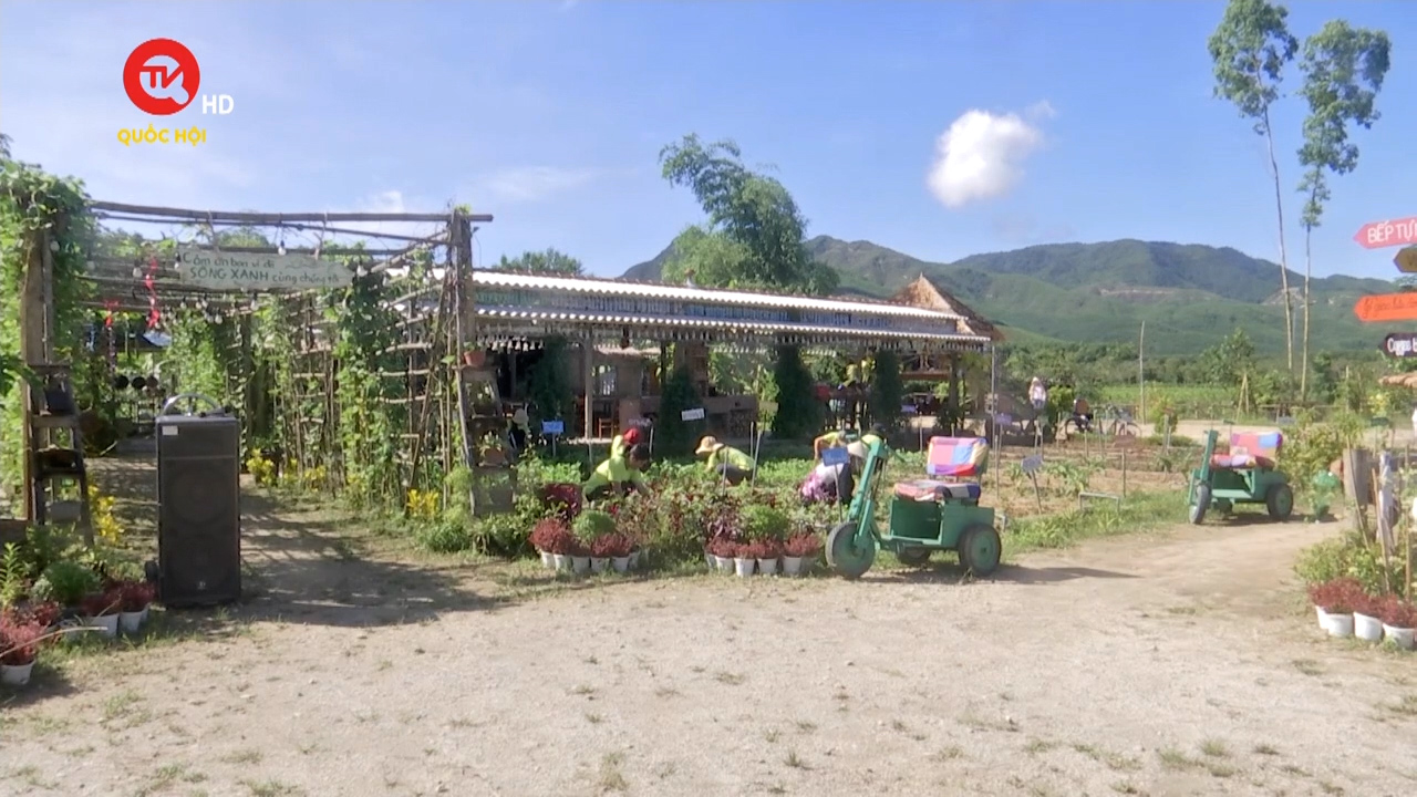 Bình Định: Câu chuyện ý nghĩa về "vườn tái chế" của người khuyết tật