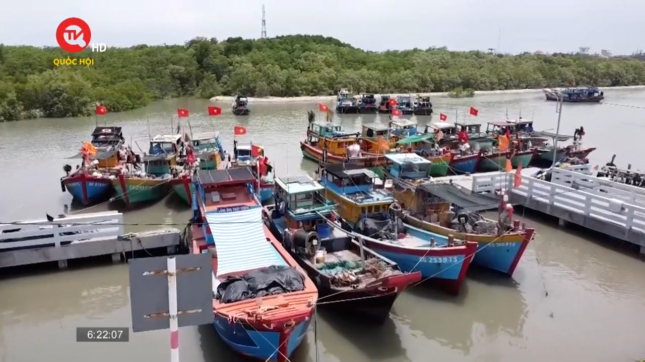 TPHCM: Cùng ngư dân Cần Giờ vươn khơi bám biển