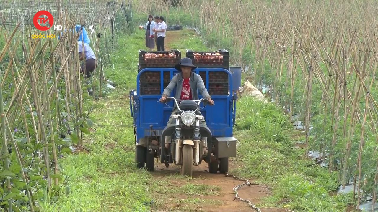 Nông nghiệp Việt Nam: Gỡ điểm nghẽn, nâng cao chất lượng hoạt động cho hợp tác xã