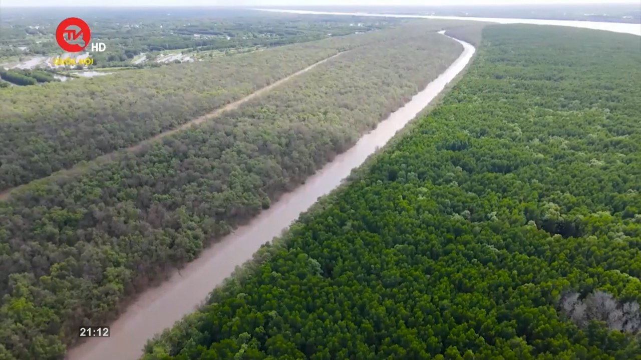 COP26: Làm thế nào để bảo vệ vùng đất ngập nước?