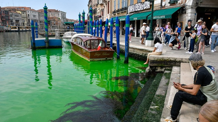 Venice điều tra vụ kênh đào Grand đổi màu xanh lá