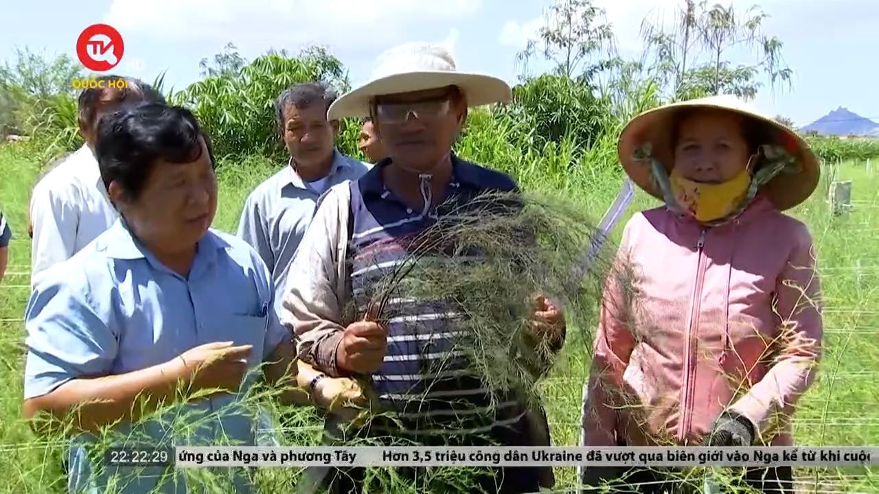 Ninh Thuận: Giúp nông dân trở thành bác sĩ trên đồng ruộng
